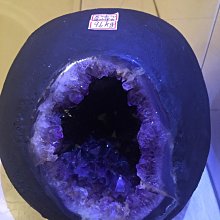 可愛鯊魚公仔 鯊魚娃娃吊飾 鯊魚鑰匙圈 鑰匙扣 包包掛件 鯊魚掛飾 裝飾物 兒童禮物 夾娃娃機公仔 仿真鯊魚玩具 歷史價格詳細信息