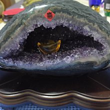 臻品紫竹長簫短簫成人學生洞簫專業入門初學蕭G調F蕭笛制簫樂器森林LJJ 歷史價格詳細信息