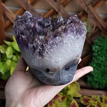 烏拉圭 紫水晶花 有導師 紫晶花 很閃 紫水晶簇 色澤深 可站立 不錯 頂輪 風水 把玩 靈修 收藏 編號H185 歷史價格詳細信息