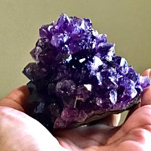 「已售」 烏拉圭 紫晶花 210克 很閃  紫水晶簇 頂輪 風水 把玩 靈修 收藏 編號T1351 歷史價格詳細信息