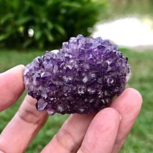 「已售」 烏拉圭 紫晶花 210克 很閃  紫水晶簇 頂輪 風水 把玩 靈修 收藏 編號T1351 歷史價格詳細信息