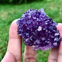 *預定*  深紫 長直髮 Love Live  妖狐&times;僕SS 白鬼院 凜凜蝶 歷史價格詳細信息