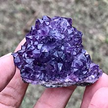 紫晶宮**50粒裝8小時鋁殼西藏植物酥油燈1箱20盒御品**品質保證價格便宜 歷史價格詳細信息