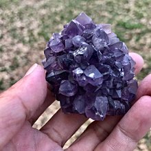 #73-1 克羅地亞 5枚硬幣4027 歷史價格詳細信息