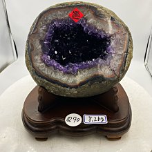 HE010 高閂鎖 塑膠材質 高腳門閂鎖 門栓鎖 歷史價格詳細信息