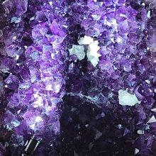 @@六合堂@@天然撫順琥珀108顆10mm~~母親節最佳好禮 歷史價格詳細信息