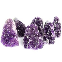 熱賣拉公仔玩偶睡覺抱枕毛絨玩具啪啪圈兒童布娃娃女生 歷史價格詳細信息