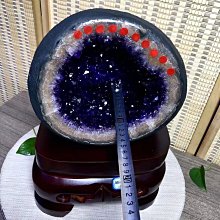 【宅小妹】行李箱包掛鉤(堅固｜耐用｜紮實｜方便) 歷史價格詳細信息