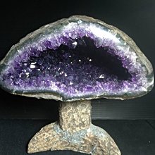 一日一樹一故事：每天用一棵樹讓自己沉浸在大自然裡【金石堂】 歷史價格詳細信息