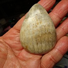 七彩虹 藍寶石顯卡7750 1g顯卡，拆 歷史價格詳細信息