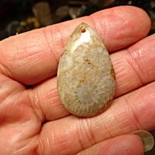 七彩虹 藍寶石顯卡7750 1g顯卡，拆 歷史價格詳細信息