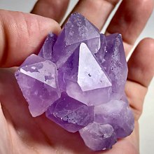 小骨幹 橋樑水晶 連體水晶 赫爾基蒙 Herkimer Diamond 編號T1350 歷史價格詳細信息