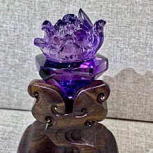 巴西木開花水養幸運木情侶款水培植物巴旦木室內可開花綠植盆栽 歷史價格詳細信息