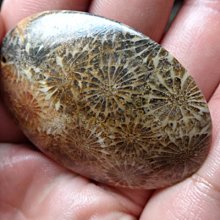 七彩虹 藍寶石顯卡7750 1g顯卡，拆 歷史價格詳細信息