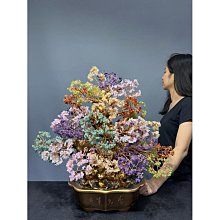 廣生堂 開心爸爸國王節 君燕幸福燕窩飲75ML 15入禮盒 送燕窩女寶膏30入1盒 歷史價格詳細信息