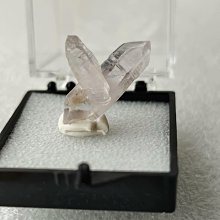 【小天下】小偷貓老大/小松申尚 五車商城(09/05出版) 歷史價格詳細信息