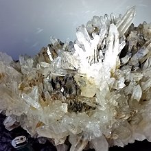 【14天亮白】好來全亮白牙膏 牙膏 黑人牙膏 含氟牙膏 VNHDA9 歷史價格詳細信息