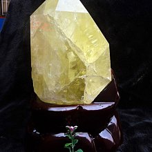 320來公投 胸章 臂章 歷史價格詳細信息