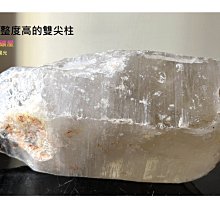 火爆巴西木 擺件盆栽   幸運木 防輻射  驅蚊  凈化空氣 家居辦公室桌面裝飾擺件【滿350出貨】 歷史價格詳細信息