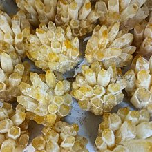 招財進寶 活性碳 100g 除 氯 臭 上部過濾器 圓筒 底部過濾 缸 槽 淨化水質 吸重金屬 吸取毒素 水族箱 魚缸 歷史價格詳細信息