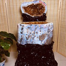 (居家辦公室盆栽照顧小幫手) 家庭/辦公室盆栽免插電自動施肥澆水澆花器 3組6入 SK 歷史價格詳細信息