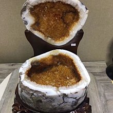 (居家辦公室盆栽照顧小幫手) 家庭/辦公室盆栽免插電自動施肥澆水澆花器 3組6入 SK 歷史價格詳細信息