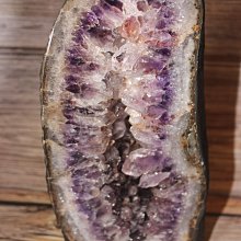 巴西木盆栽矮桿幸運木土培老樁盆景室內辦公室家居大型植物 歷史價格詳細信息