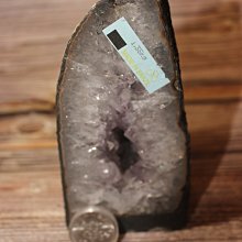 巴西木盆栽矮桿幸運木土培老樁盆景室內辦公室家居大型植物 歷史價格詳細信息