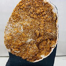 (居家辦公室盆栽照顧小幫手) 家庭/辦公室盆栽免插電自動施肥澆水澆花器 3組6入 SK 歷史價格詳細信息