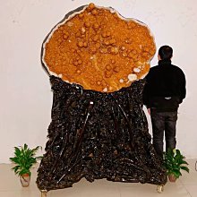 公司開烏格UGEARS同款木質拼裝機械傳動美式卡車木質3d立體拼圖 歷史價格詳細信息