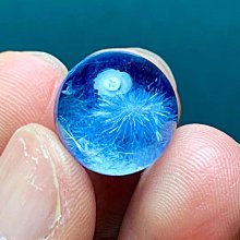 妖姬美人．鋼托聚攏蕾絲透明馬甲套裝(黑色) 歷史價格詳細信息