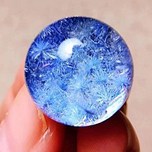 【聚優】【18個配色】備用連結 Samba XLG 厚底德训滑板 男女運動休閒 歷史價格詳細信息