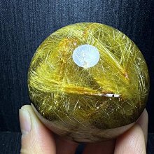 《金髮毒物》ISBN:9861205659│臉譜│杜安．史維欽斯基 歷史價格詳細信息