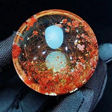 蝶戀花 7X12變頻震動搖擺 滾珠伸縮按摩棒-玫紅色 歷史價格詳細信息