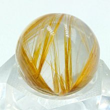 《金髮毒物》ISBN:9861205659│臉譜│杜安．史維欽斯基 歷史價格詳細信息