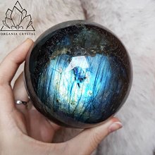 ☆║♥愷心小舖♥║☆狗狗造型 可折疊浴盆 兒童 泡澡 戲水 玩水 多功能 歷史價格詳細信息