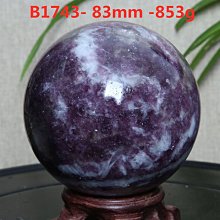 B1643 (簡)政治秩序的起源 福山著 毛俊杰譯 廣西師範大學出版 2012 歷史價格詳細信息