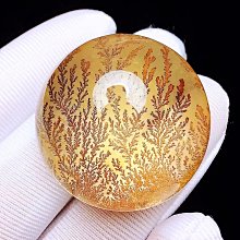 2916樂積木【當日出貨】第三方 十字軍系列 耶路撒冷 的黎波里 G0133 戰馬 聖殿騎士 醫院騎士 積木 人偶 中古 歷史價格詳細信息