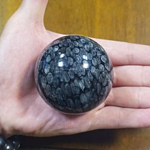 泰國剛帶回 BKK Original 特價回饋 數量有限 【午安。小姐】 歷史價格詳細信息