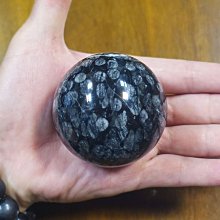 泰國剛帶回 BKK Original 特價回饋 數量有限 【午安。小姐】 歷史價格詳細信息