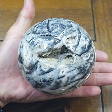 §能量礦石§ 印尼zebra druzy 斑馬晶簇瑪瑙球1343g 直徑101mm 編號16 價格比較,價格查詢,歷史價格詳細信息