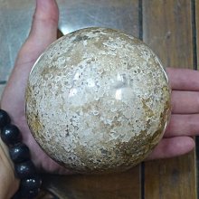 [107玉山最低比價網] Dyson V6 DC74 Absolute Motorhead Fluffy 專用集塵筒 (DC62 不適用)  _U4 歷史價格詳細信息