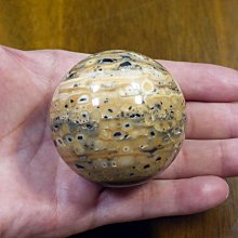 直播285凸面端子鏡 M19批發下單-鍍客doker 歷史價格詳細信息