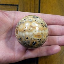 §能量礦石§ 泰國龍宮舍利黑金剛舍利球2417g直徑121mm SAMROIYOD山脈和山洞 編號127 歷史價格詳細信息