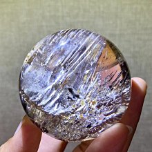 骸骨季節系列一：靈魂收割｜尖端｜莎曼珊夏儂｜無劃記、無破損 歷史價格詳細信息