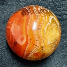 ( 直徑3mm / 1米售 ) 不銹鋼包塑鋼絲 304不鏽鋼 七股包塑鋼絲 免打孔伸縮曬衣繩 歷史價格詳細信息