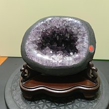17.5公斤PU悍馬啞鈴一對/可摔啞鈴/17.5KG六角包膠啞鈴/17.5公斤圓頭包膠啞鈴【Fitek健身網】 歷史價格詳細信息