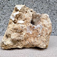 奇士水晶-紅水晶共生黃銅礦礦標-黃銅礦閃亮✨-白水晶本體--有招財洞-附專用木座（多筆賣場，請先詢問） 歷史價格詳細信息