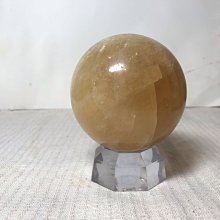 Attic-Ralph Lauren 牛津polo衫 Xs號 歷史價格詳細信息