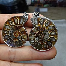 億萬年 形成  【天然老礦 琥珀特極品】 原礦13.5ㄨ12.5ㄨ4.2cm(322g)《有天然琥珀之香氣》 =S2-67 歷史價格詳細信息